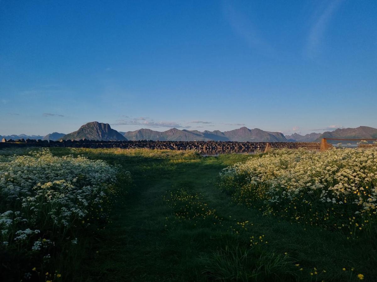 Villa Walter Lofoten With Sauna Kvalnes  Exterior foto